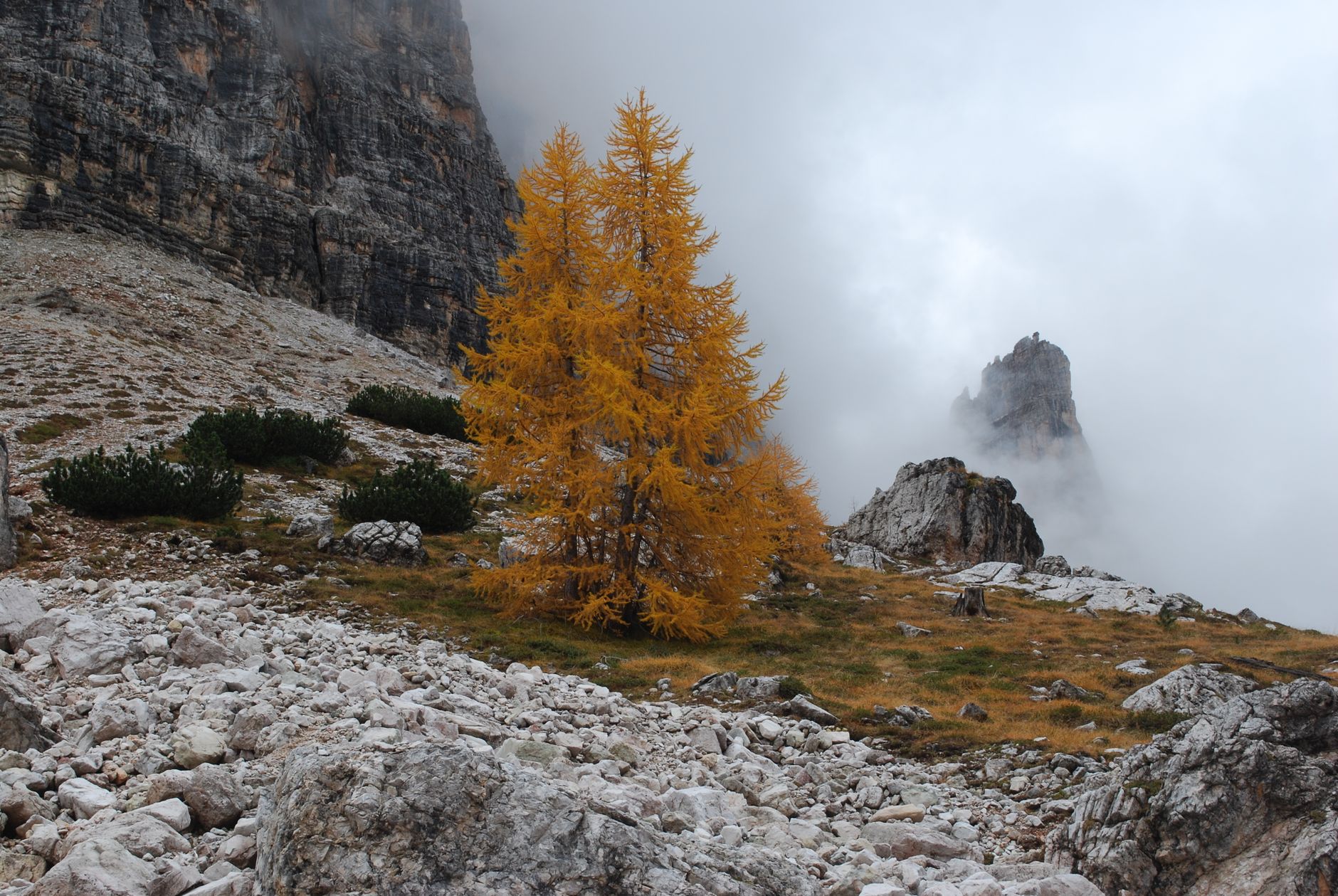 Alta Via trail through the golden larch forests of the Dolomites